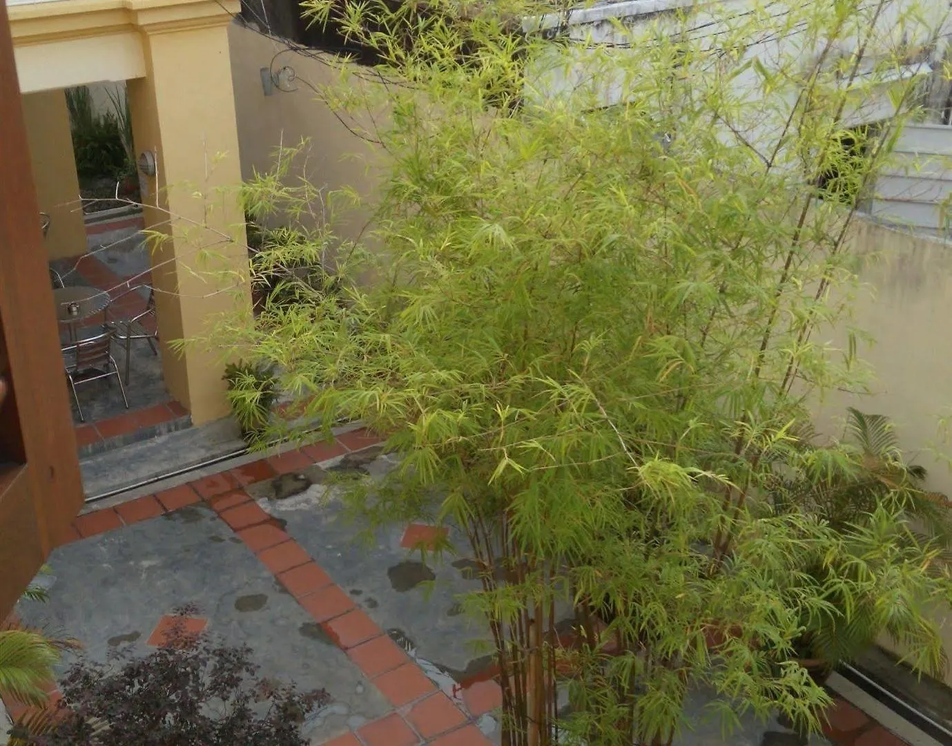 Hutton Lodge George Town Malaysia